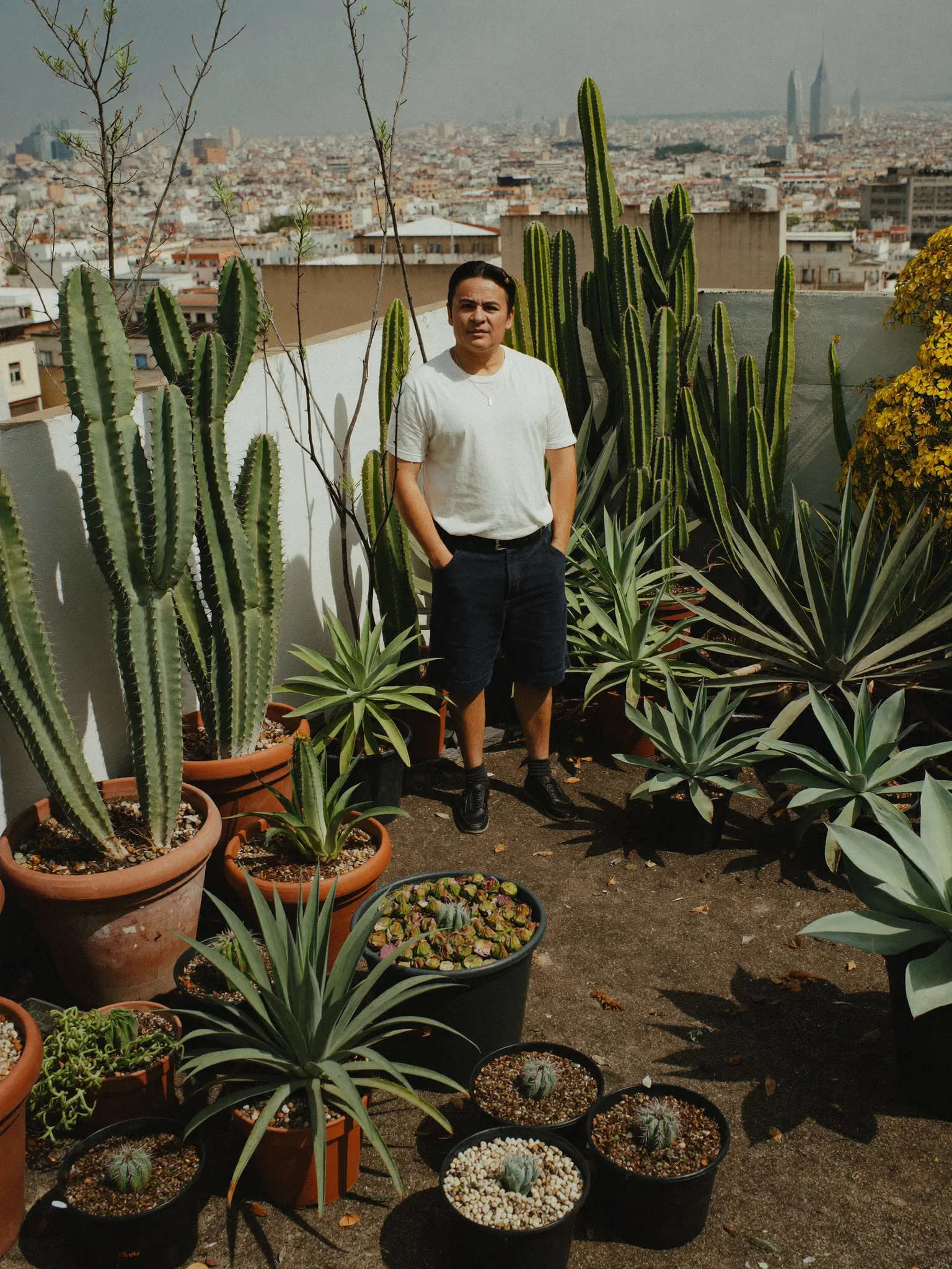 Diego's rooftop cactus collection in Mexico City