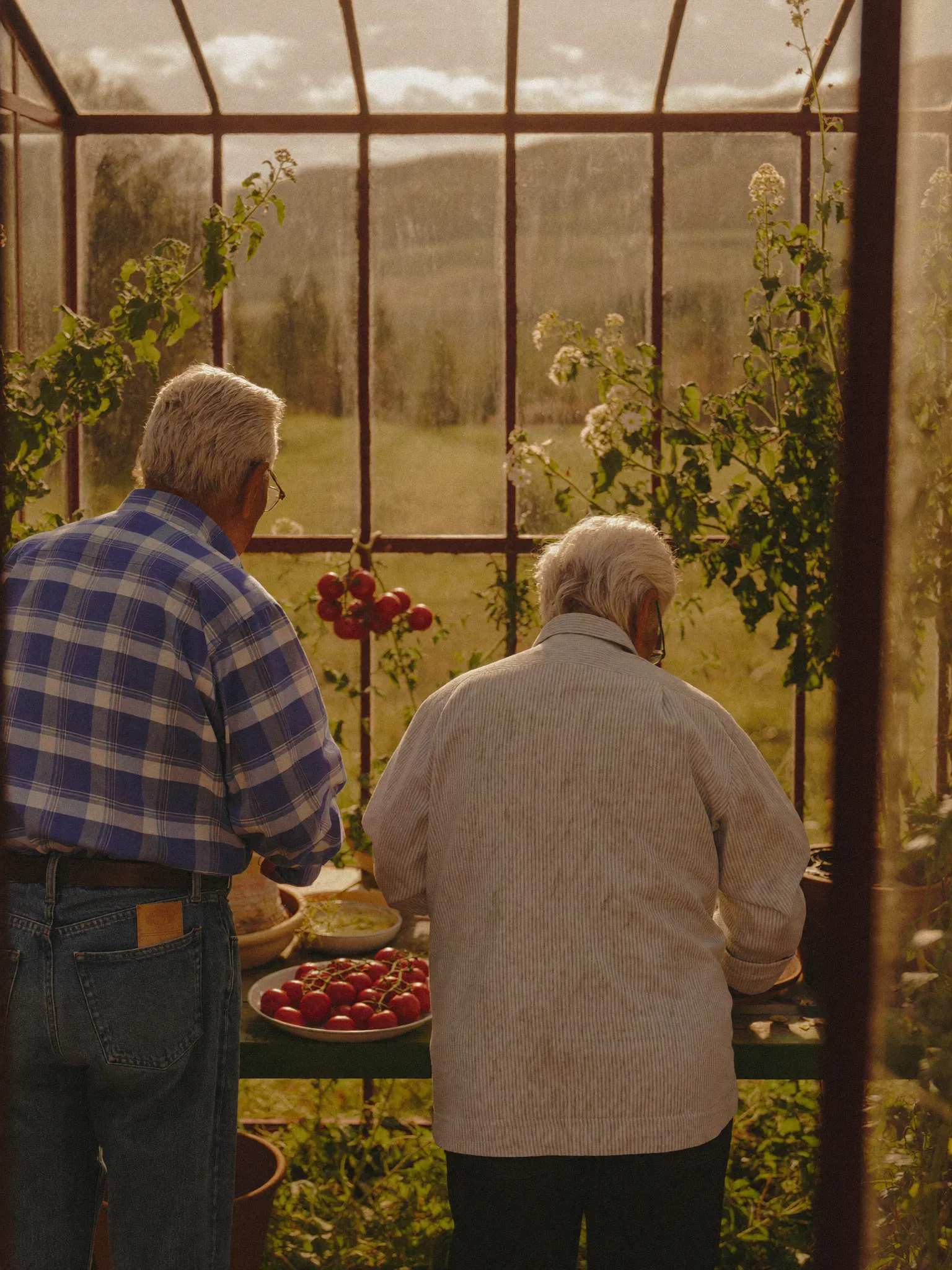 June and her husband inside their Cornwall greenhouse