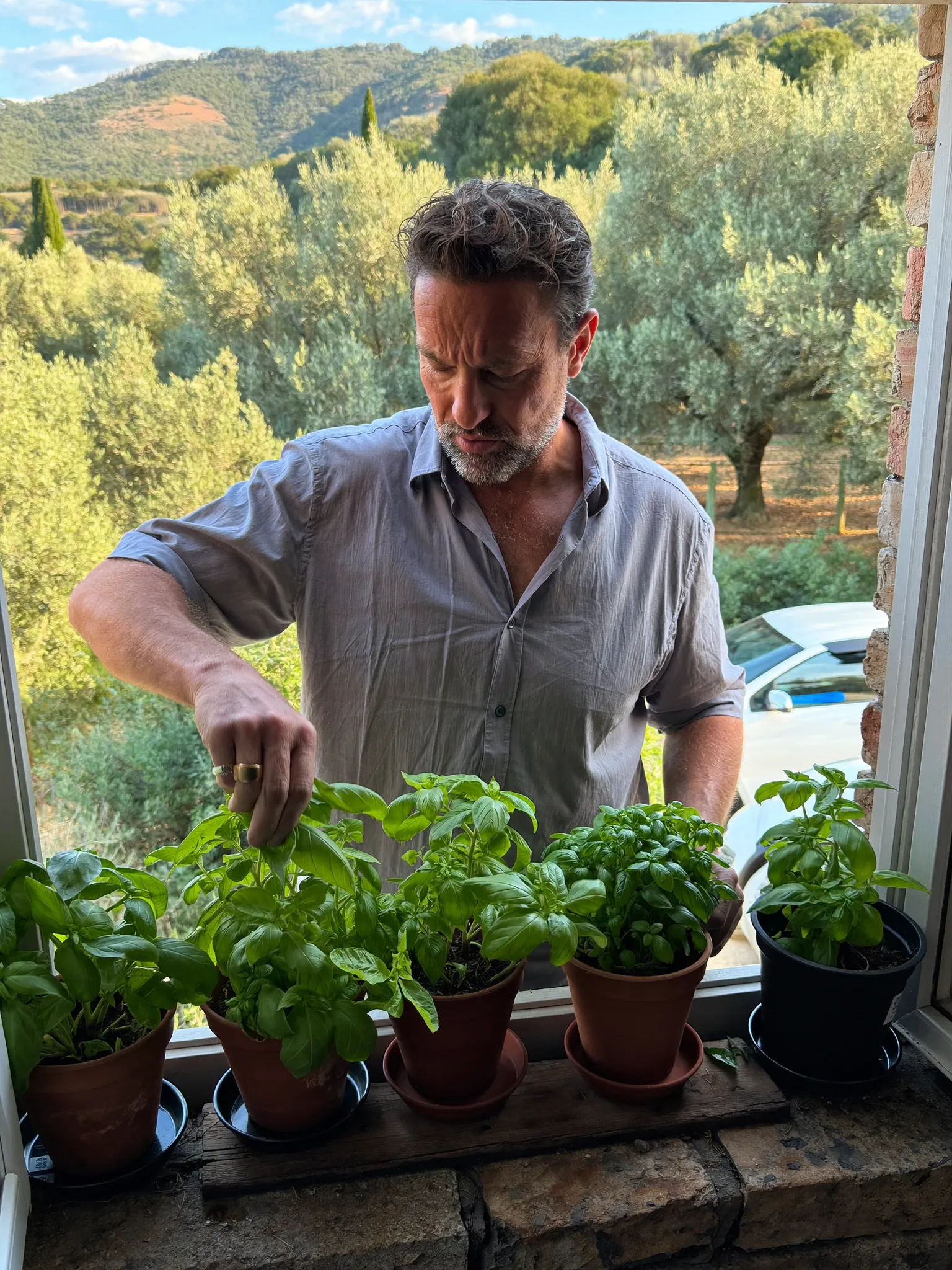 Marco picking basil on a Tuscan stone windowsill
